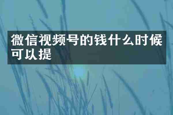 微信视频号的钱什么时候可以提