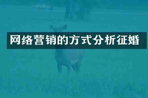 网络营销的方式分析征婚
