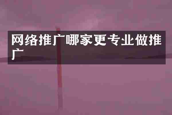 网络推广哪家更专业做推广