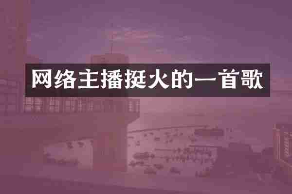 网络主播挺火的一首歌