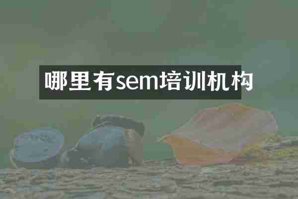 哪里有sem培训机构