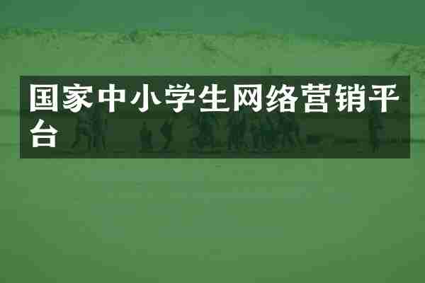 国家中小学生网络营销平台