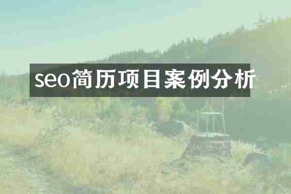 seo简历项目案例分析