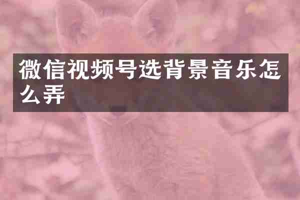 微信视频号选背景音乐怎么弄