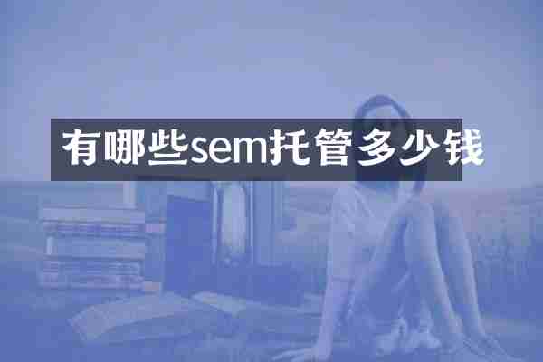 有哪些sem托管多少钱