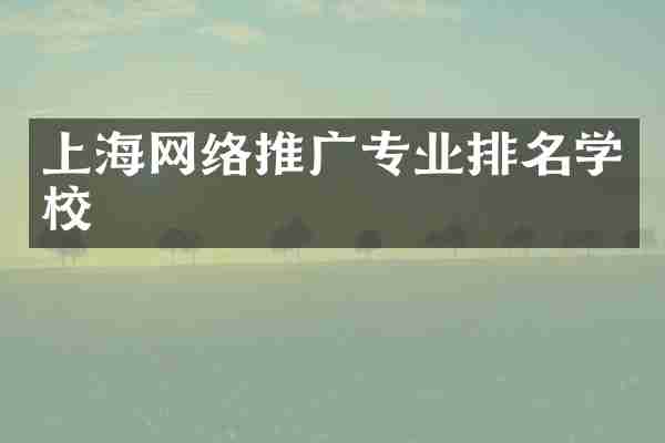 上海网络推广专业排名学校