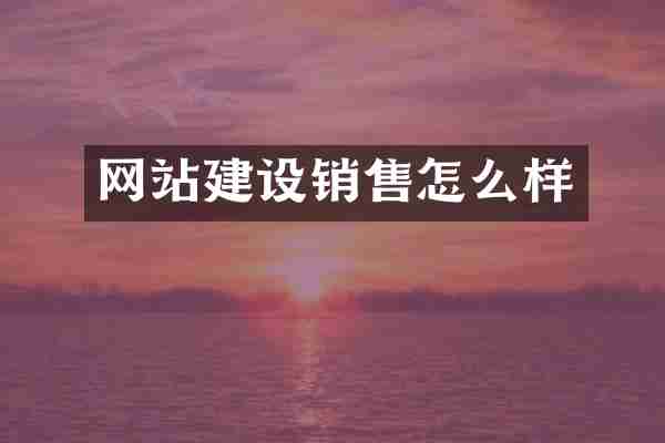 网站建设销售怎么样