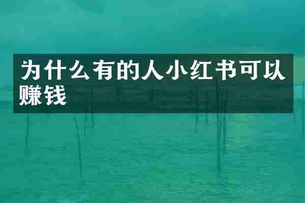为什么有的人小红书可以赚钱