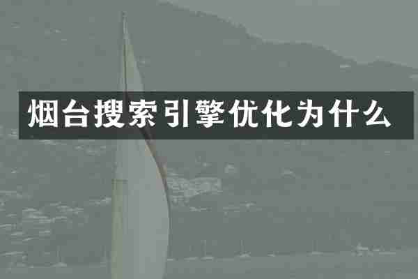 烟台搜索引擎优化为什么