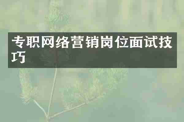 专职网络营销岗位面试技巧