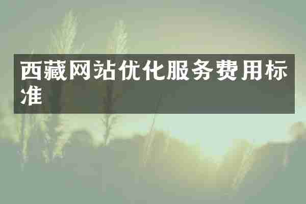 西藏网站优化服务费用标准