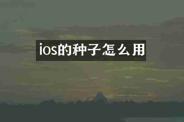 ios的种子怎么用