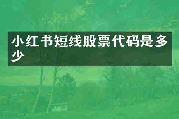 小红书短线股票代码是多少