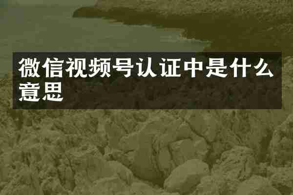 微信视频号认证中是什么意思