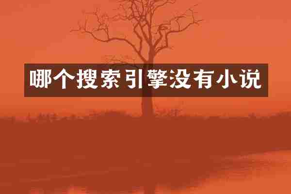 哪个搜索引擎没有小说
