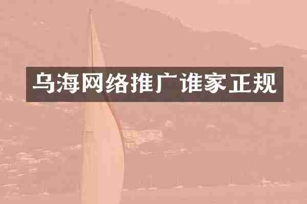 乌海网络推广谁家正规