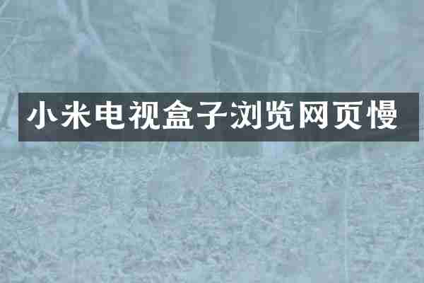 小米电视盒子浏览网页慢