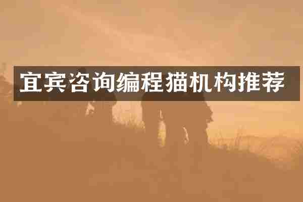 宜宾咨询编程猫机构推荐