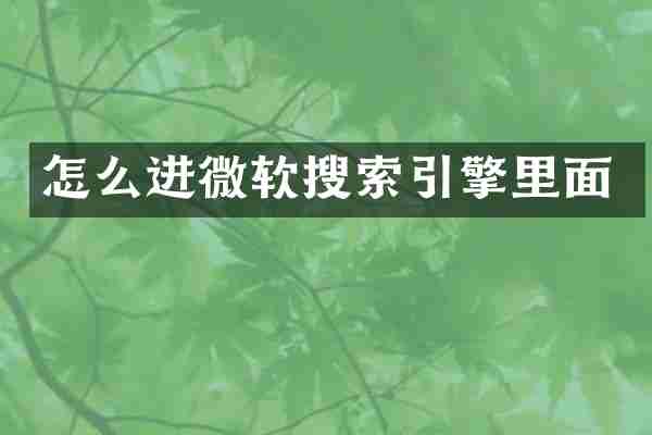 怎么进微软搜索引擎里面