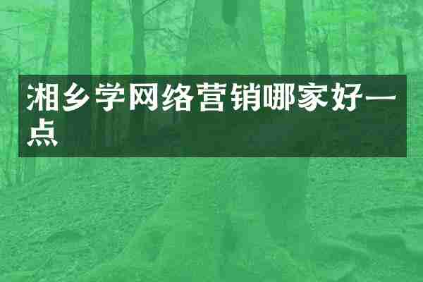 湘乡学网络营销哪家好一点