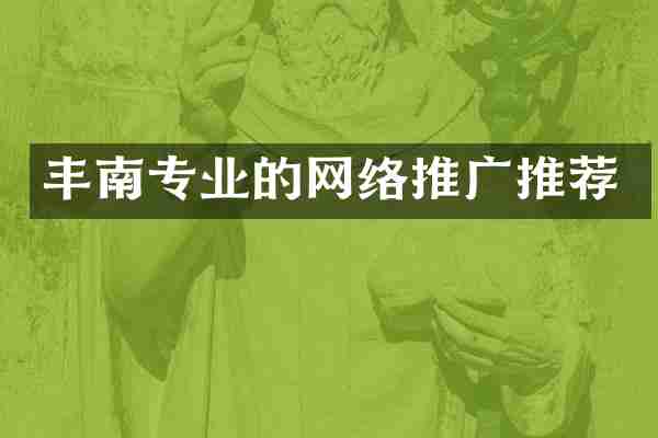 丰南专业的网络推广推荐