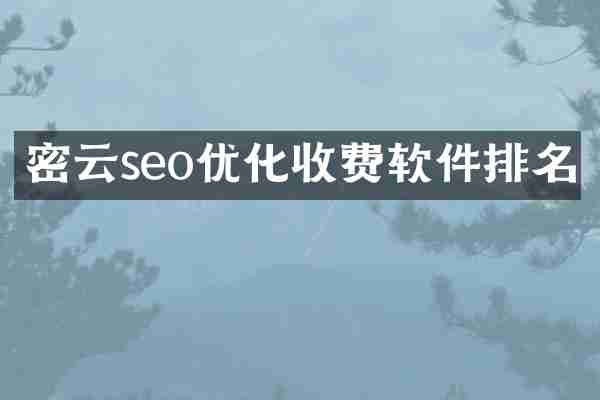 密云seo优化收费软件排名