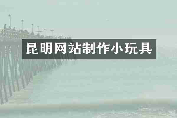 昆明网站制作小玩具