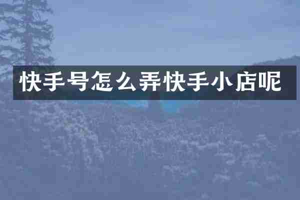 快手号怎么弄快手小店呢