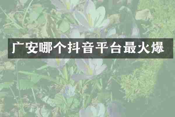 广安哪个抖音平台最火爆