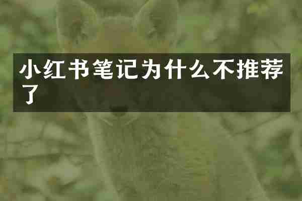 小红书笔记为什么不推荐了