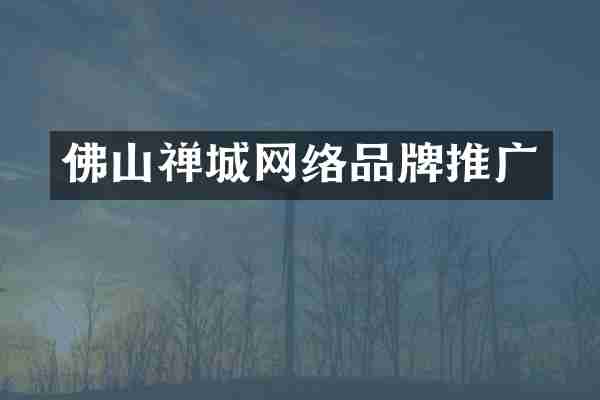 佛山禅城网络品牌推广