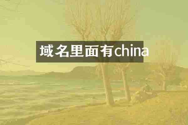 域名里面有china