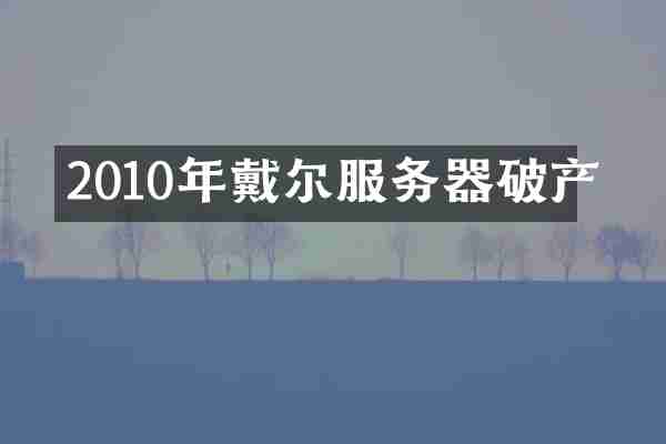 2010年戴尔服务器破产