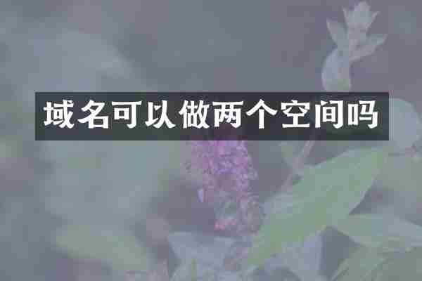 域名可以做两个空间吗