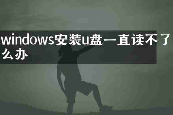 windows安装u盘一直读不了怎么办