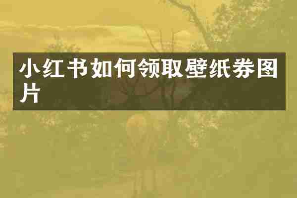 小红书如何领取壁纸券图片