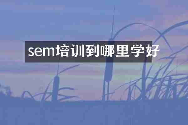 sem培训到哪里学好