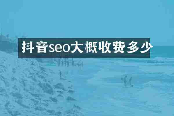 抖音seo大概收费多少