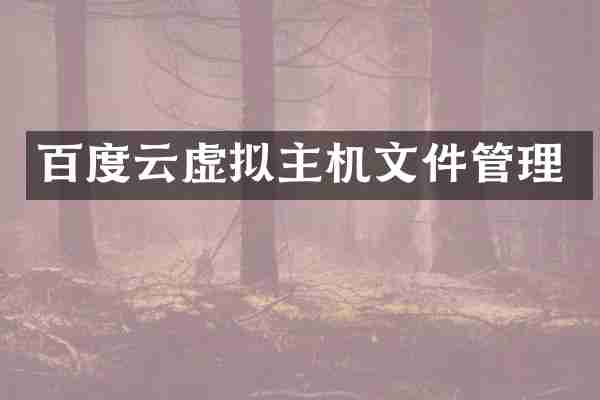 百度云虚拟主机文件管理