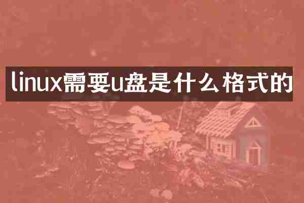 linux需要u盘是什么格式的