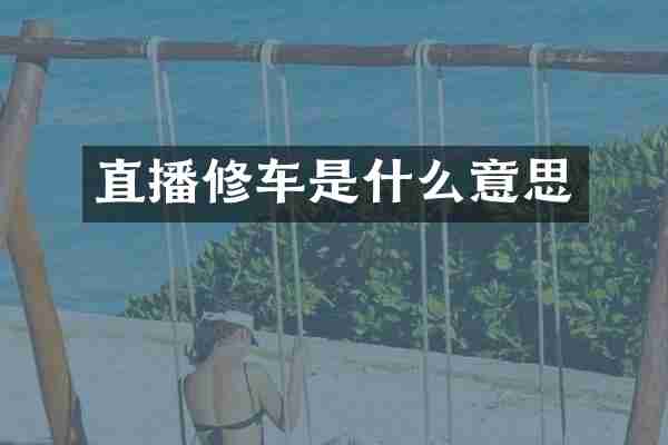 直播修车是什么意思
