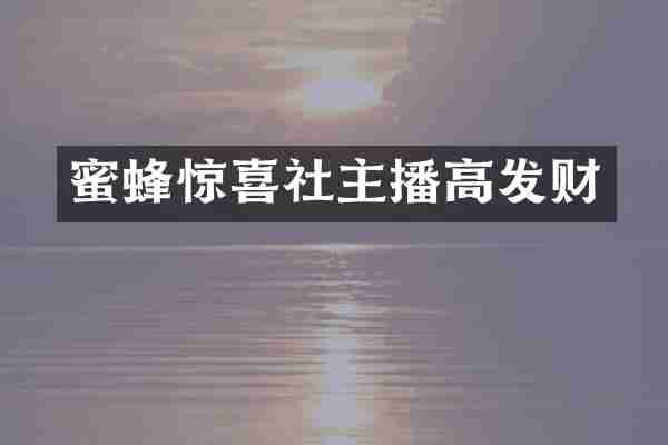 蜜蜂惊喜社主播高发财