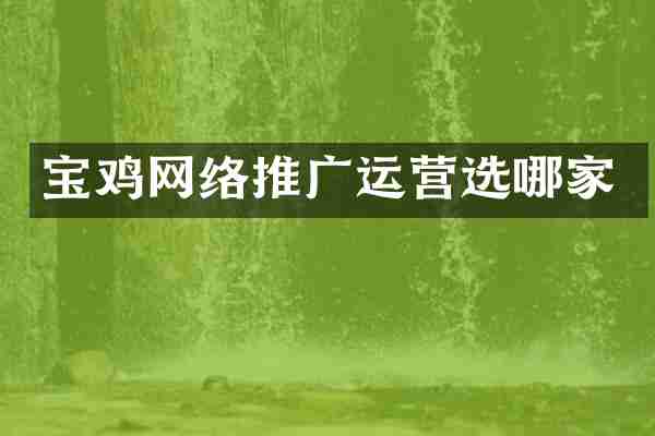 宝鸡网络推广运营选哪家