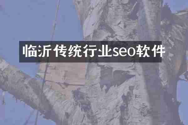 临沂传统行业seo软件