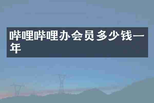 哔哩哔哩办会员多少钱一年