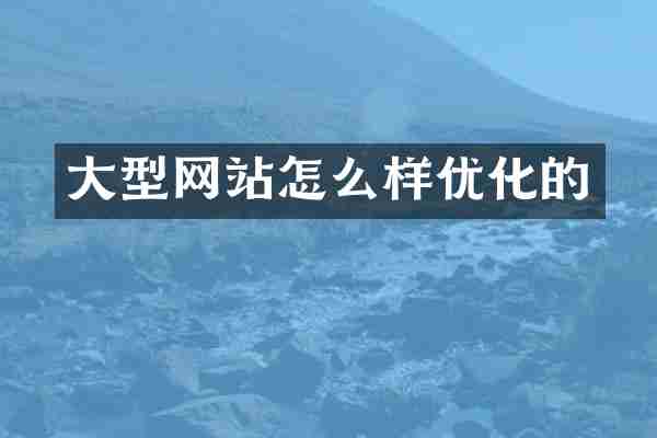 大型网站怎么样优化的