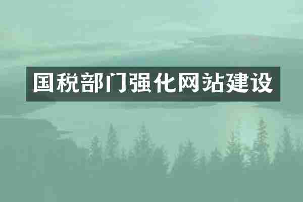 国税部门强化网站建设