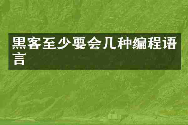 黑客至少要会几种编程语言