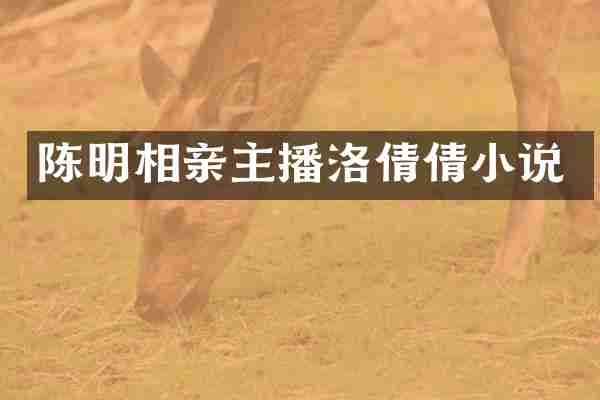 陈明相亲主播洛倩倩小说