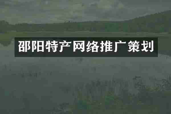邵阳特产网络推广策划